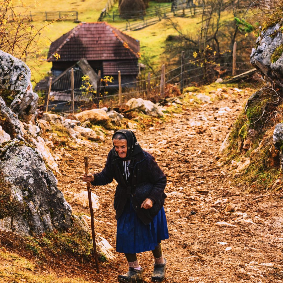 Pensionarii cu venituri de până la 2.574 lei vor primi ajutoare de 800 lei