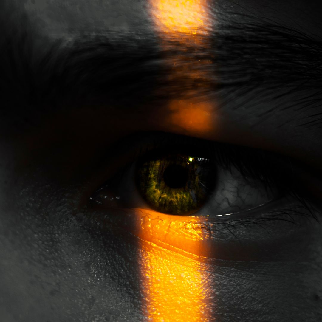 Toate privirile, pe PSD și pe prețuri – BREVIAR Intern