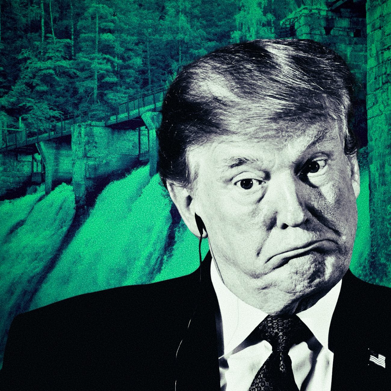 Trump, cel mai mare promotor al energiei verzi